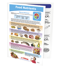 Sportime Food Nutrients Visual Learning Guide, 4 Pages, Grades 5 to 9 Item Number 2013502