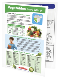 Sportime Vegetables Food Group Visual Learning Guide, 4 Pages, Grades 5 to 9 Item Number 2013505