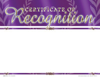 Achieve It! Certificate of Recognition Awards, Blank Item, 11 x 8-1/2 Inches, Pack of 25, Item Number 2105097