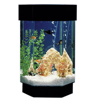 Hexagon Aquascape Aquarium, 8 Gallon, 12 x 14 x 21-1/2 Inches 2120879