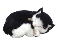 Perfect Petzzz Black & White Shorthair Cat 2121843