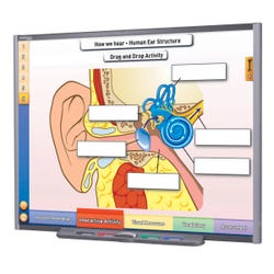 Image for NewPath IWB Sound Site License Multimedia Lesson CD from School Specialty