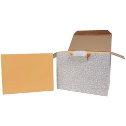 School Smart No Clasp Envelopes with Gummed Flap, 10 x 13 Inches, Kraft Brown, Pack of 250 2013920