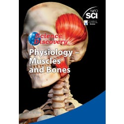 Image for NeoSCI Human Body-Muscles and Bones DVD, 14 min from School Specialty