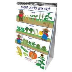 Image for NewPath Learning Early Childhood All About Plants Double Sided Laminated Flip Chart, 12 L x 18 W in from School Specialty