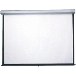 Image for Da-Lite Model C Extra Large Wall Projection Screen, 144 x 144 Inches, Matte White Screen, Steel White Frame from School Specialty