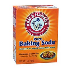 Image for Arm & Hammer Baking Soda, 1 Pound, Case of 24 from School Specialty