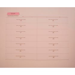 Image for Hammond & Stephens Test Record Insert, 11-3/4 x 9-1/4 Inches, Pink Tab, Pack of 25 from School Specialty