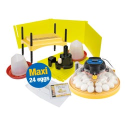 Image for Brinsea Maxi 24 Incubator Classroom Pack from School Specialty