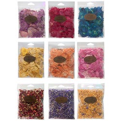 Image for Arnold Grummer's Botanical Value Set, Assorted Colors, Pack of 9 from School Specialty