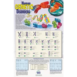Image for NeoSCI Human Genetic Disorders Laminated Poster, 23 in W X 35 in H from School Specialty