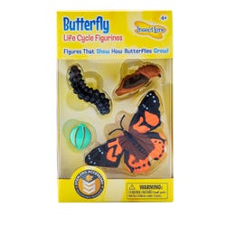 Image for Painted Lady Butterfly Life Cycle Stages, Set of 4 from School Specialty
