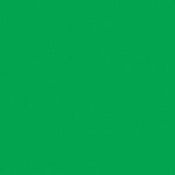 Image for Con-Tact Self-Adhesive Contact Paper, 18 Inches x 50 Feet, Kelly Green from School Specialty
