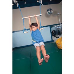 Active Play Swings, Item Number 030360