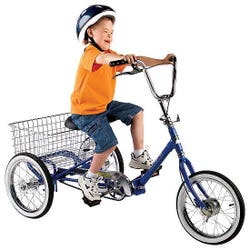 Developmental Youth Trike, with Coaster Brake 2124845