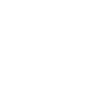 pdf icon